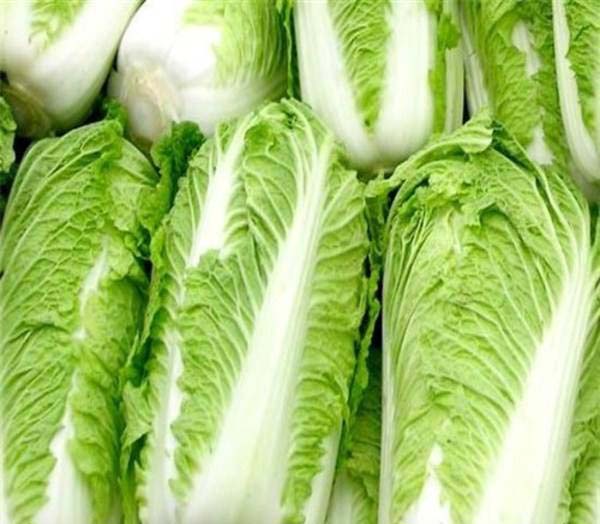 冬天來臨，醋溜白菜好吃，要謹(jǐn)防農(nóng)藥殘留